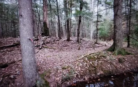 00 Covered Bridge Road Thornton NH 03285