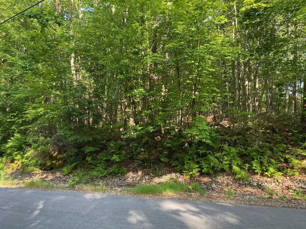 Mason Road Milton NH 03851