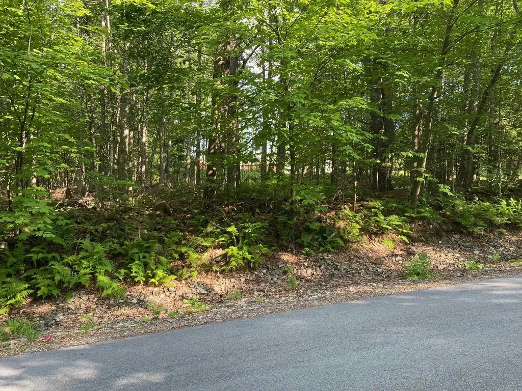 Mason Road Milton NH 03851