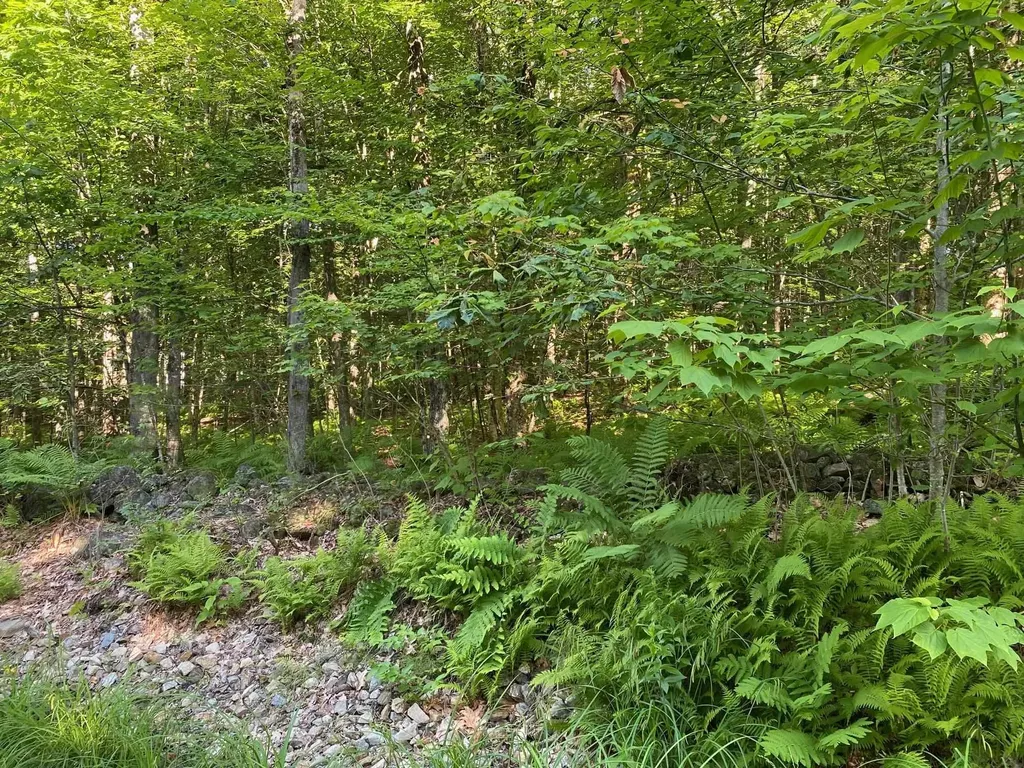 Mason Road Milton NH 03851