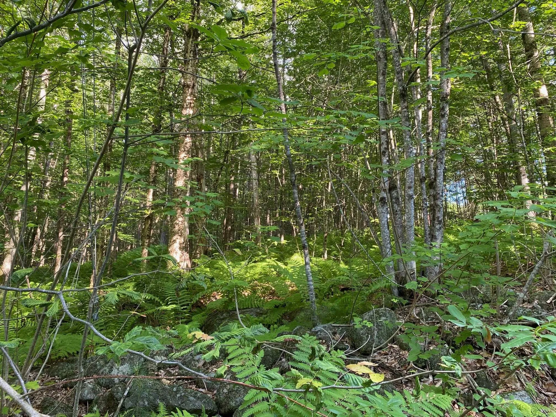Mason Road Milton NH 03851