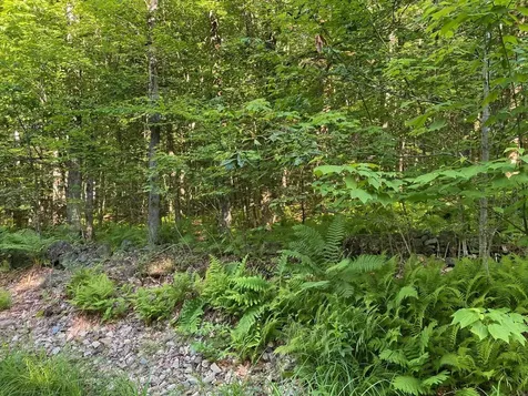 Mason Road Milton NH 03851