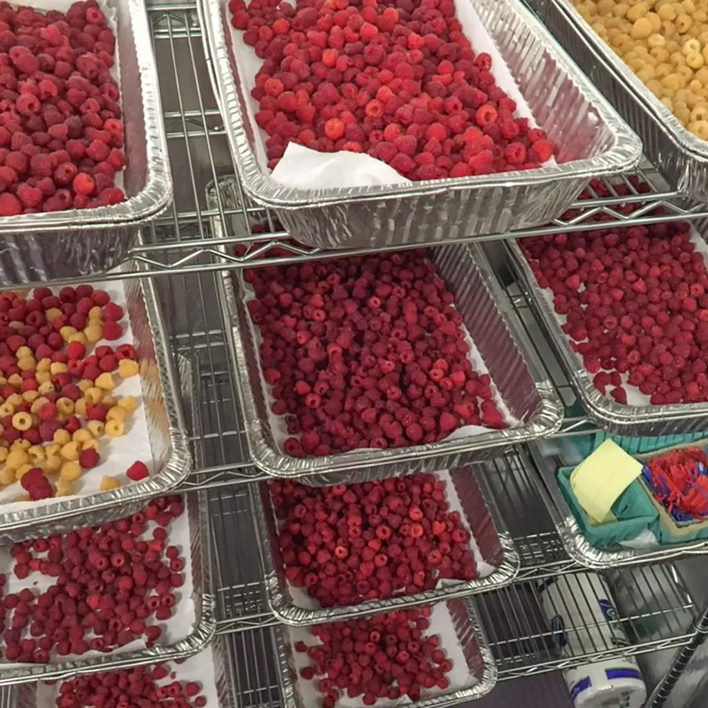 129 Ranger Road Rochester VT 05767