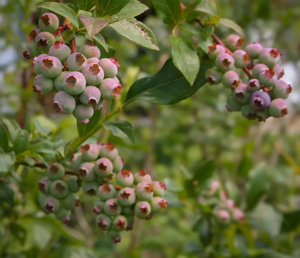 129 Ranger Road Rochester VT 05767