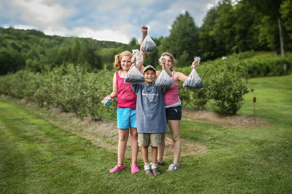 129 Ranger Road Rochester VT 05767