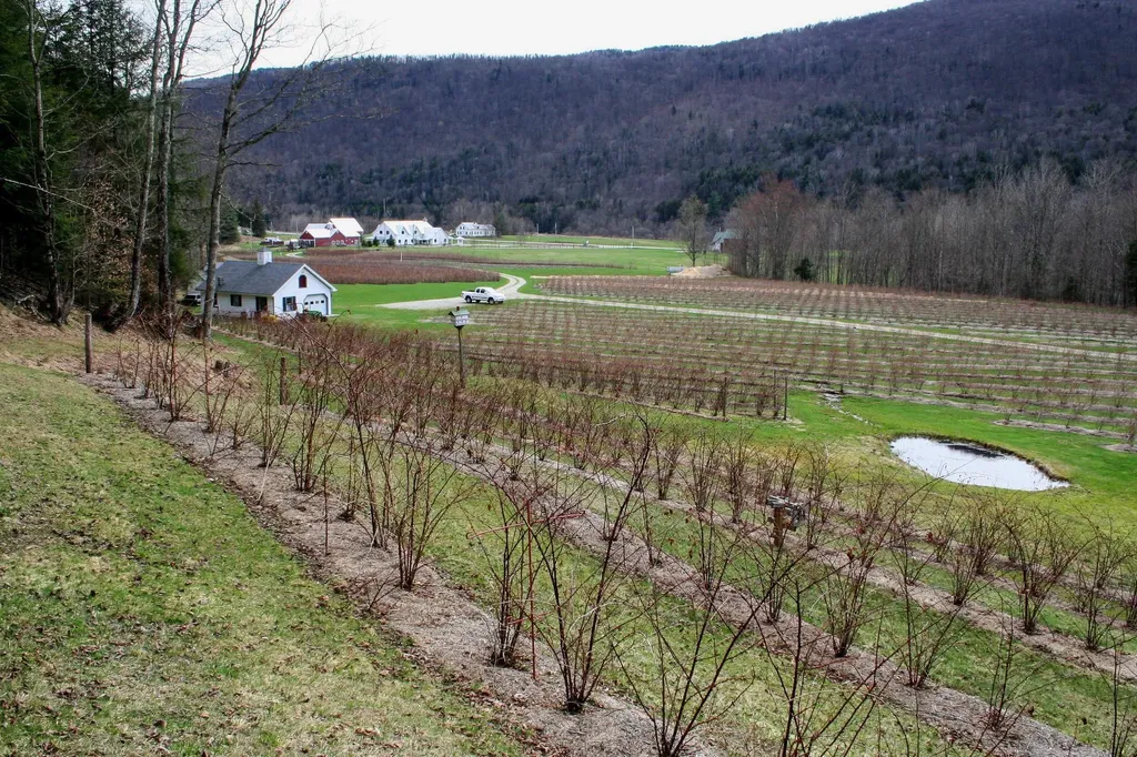 129 Ranger Road Rochester VT 05767