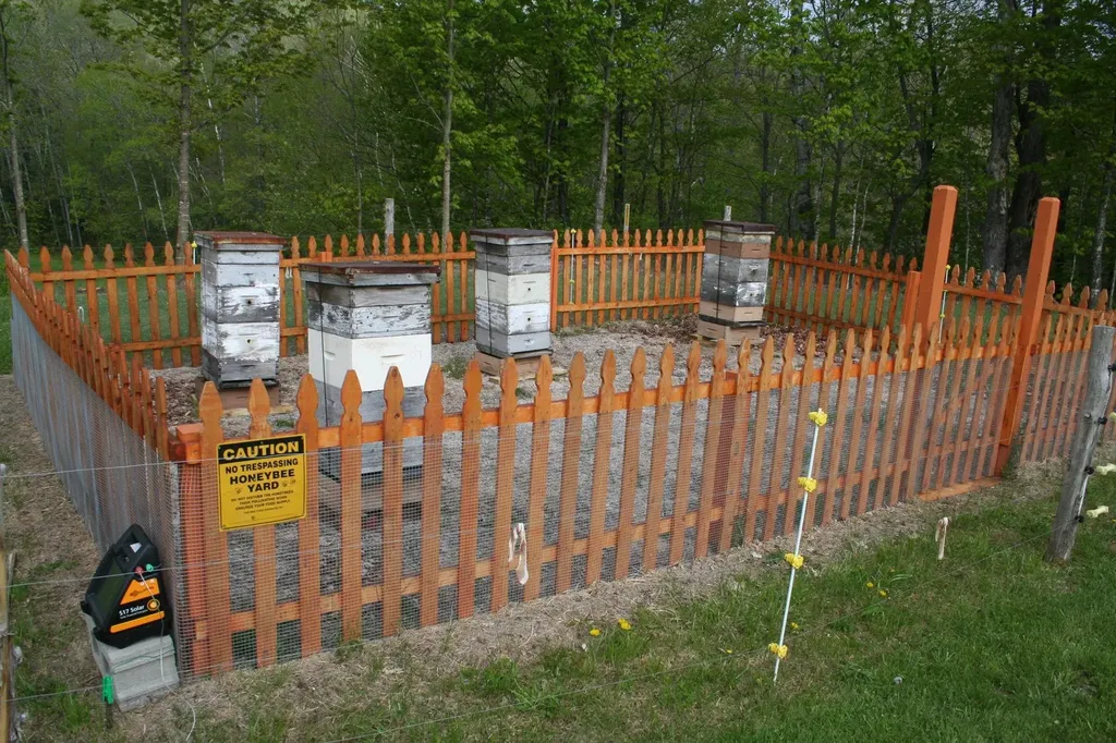 129 Ranger Road Rochester VT 05767