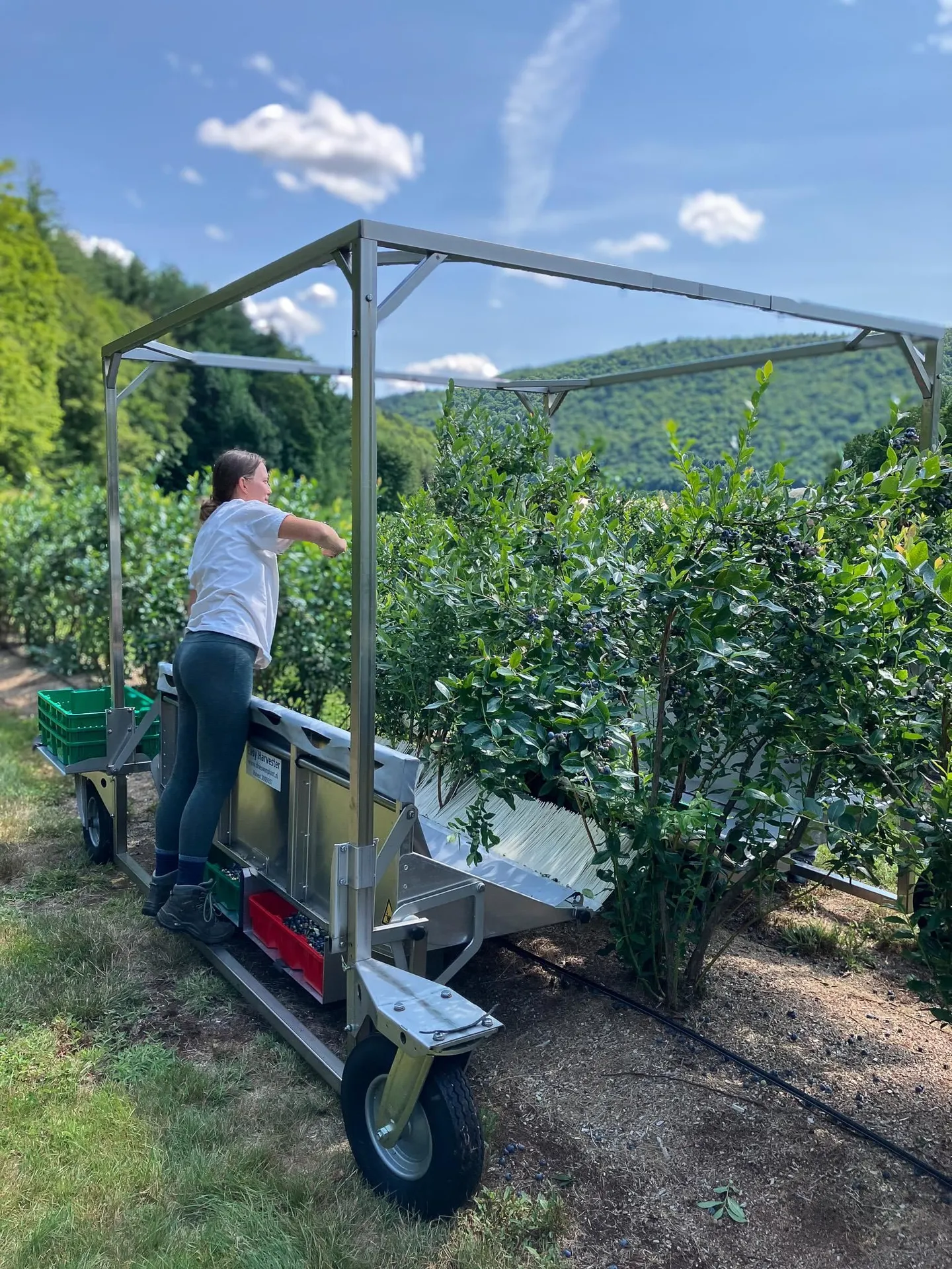 129 Ranger Road Rochester VT 05767