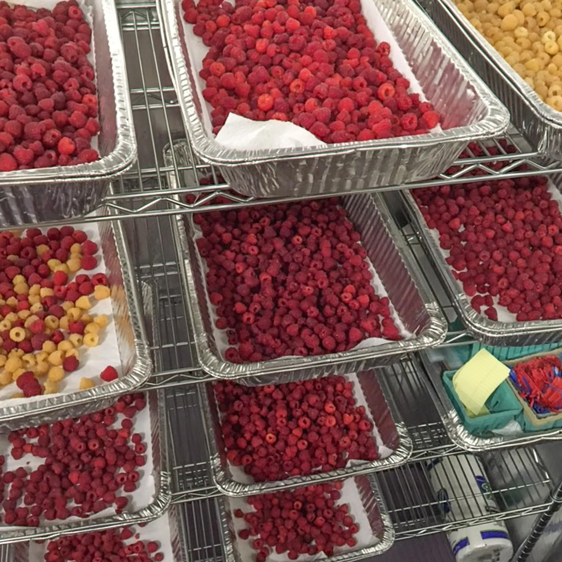 129 Ranger Road Rochester VT 05767