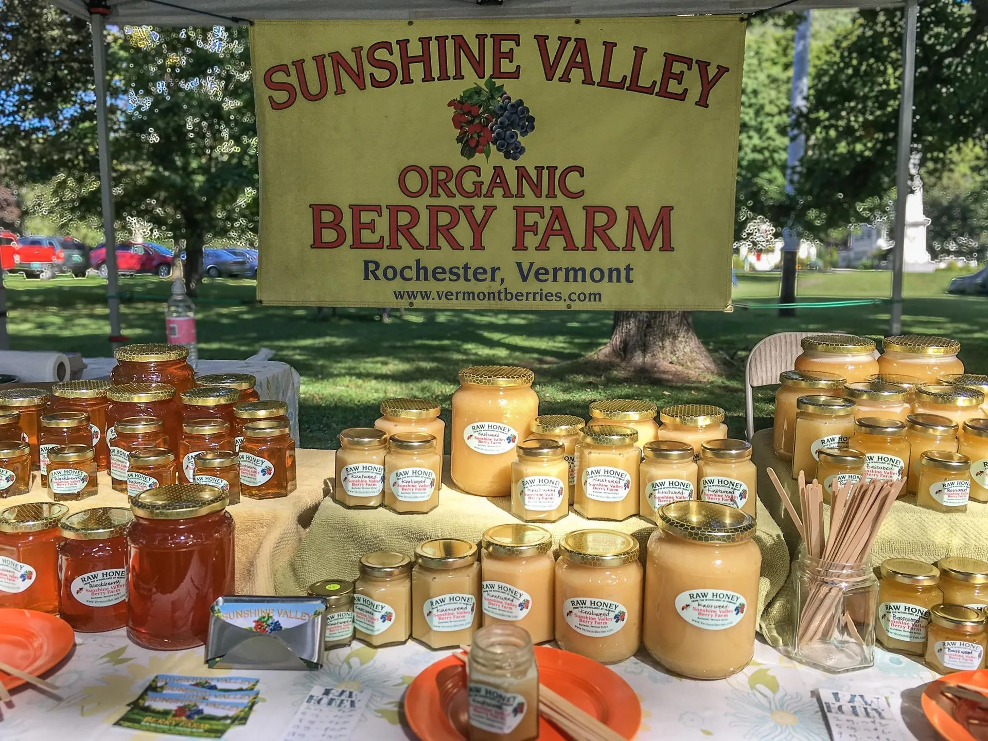 129 Ranger Road Rochester VT 05767