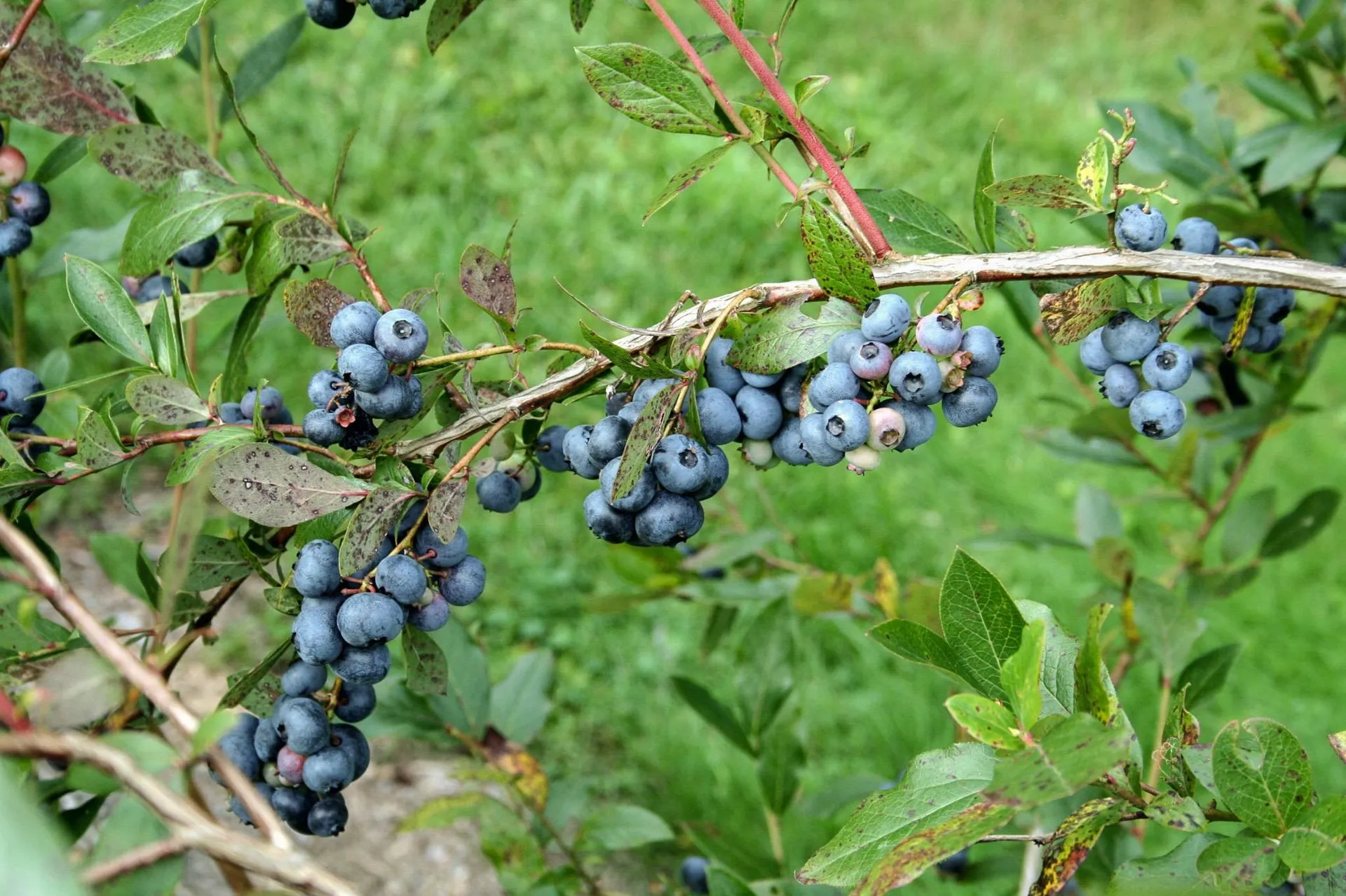 129 Ranger Road Rochester VT 05767