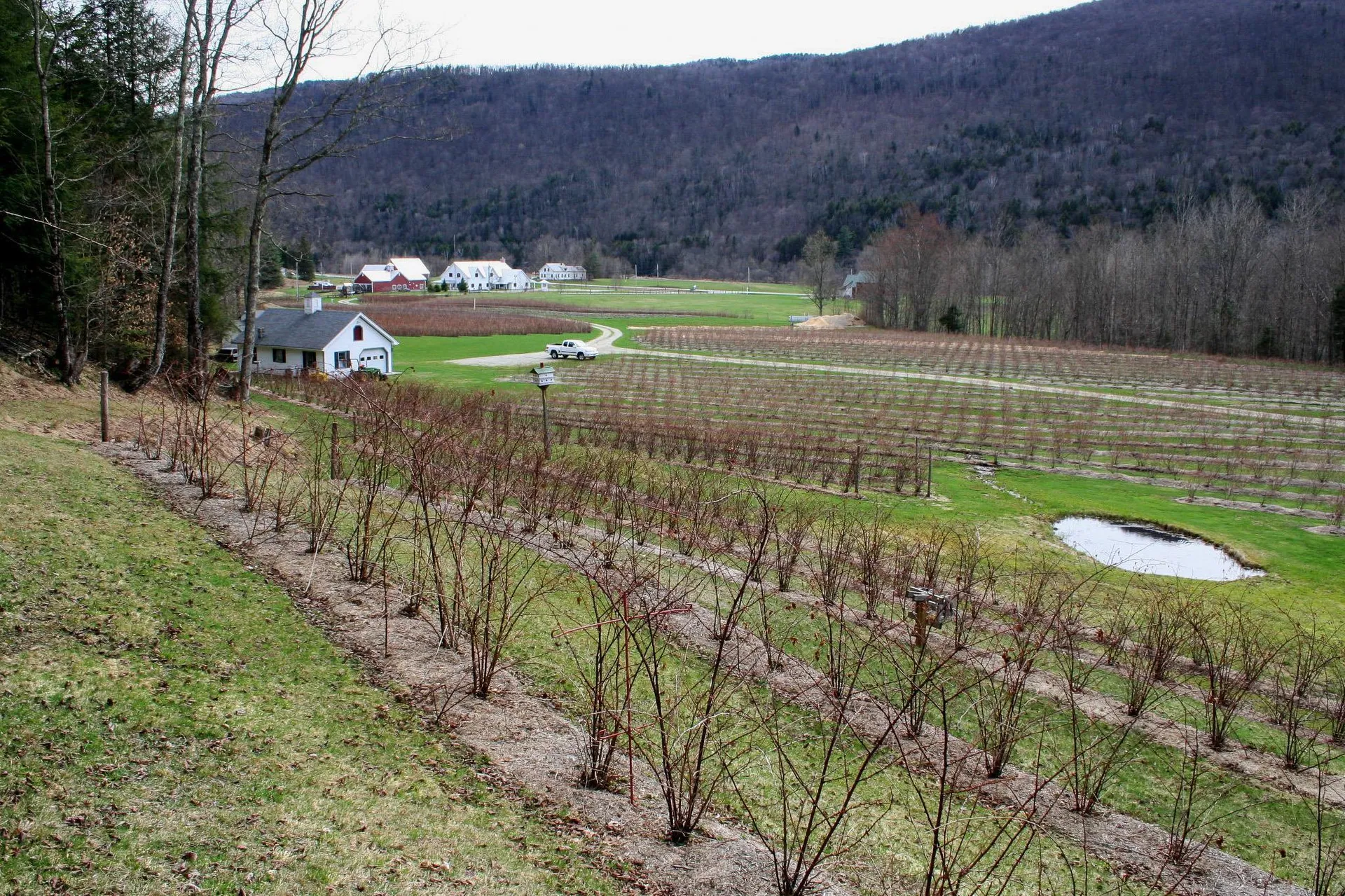 129 Ranger Road Rochester VT 05767