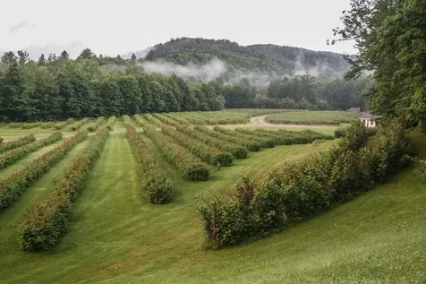 129 Ranger Road Rochester VT 05767