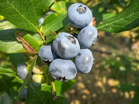 129 Ranger Road Rochester VT 05767