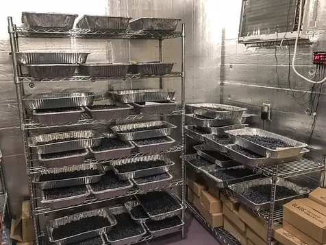 129 Ranger Road Rochester VT 05767