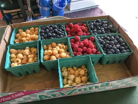 129 Ranger Road Rochester VT 05767