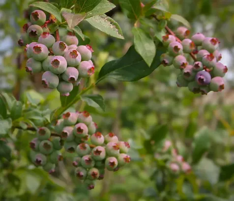 129 Ranger Road Rochester VT 05767