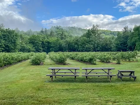 129 Ranger Road Rochester VT 05767