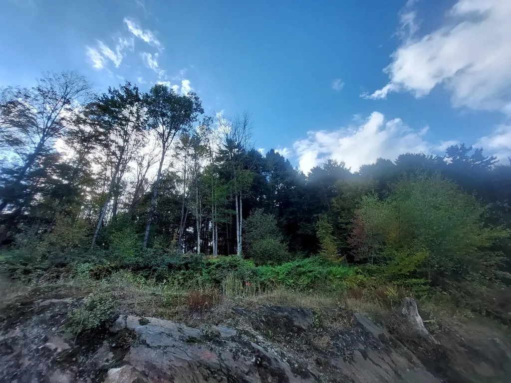 1572 Chandler Road Berlin VT 05663