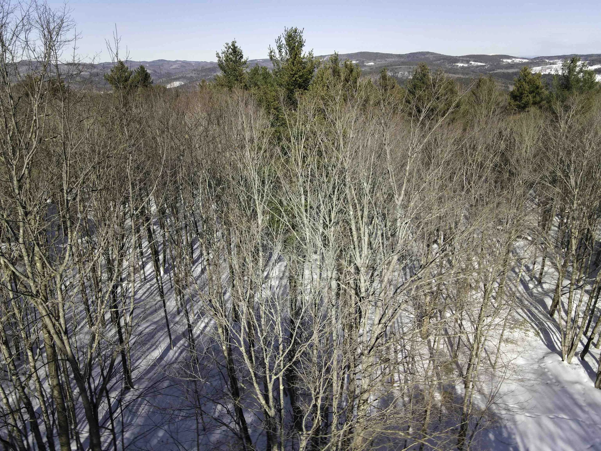 Hartford VT, Hendee Way