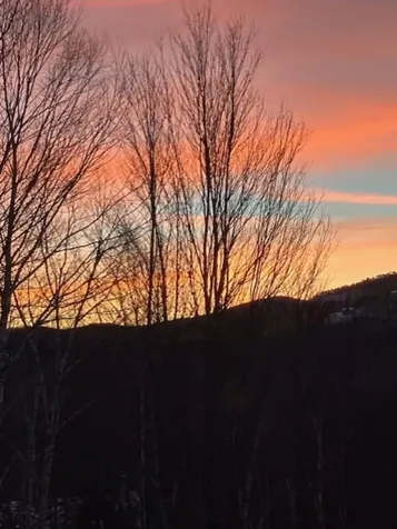 58 Christmas Mountain Road Bartlett NH 03812