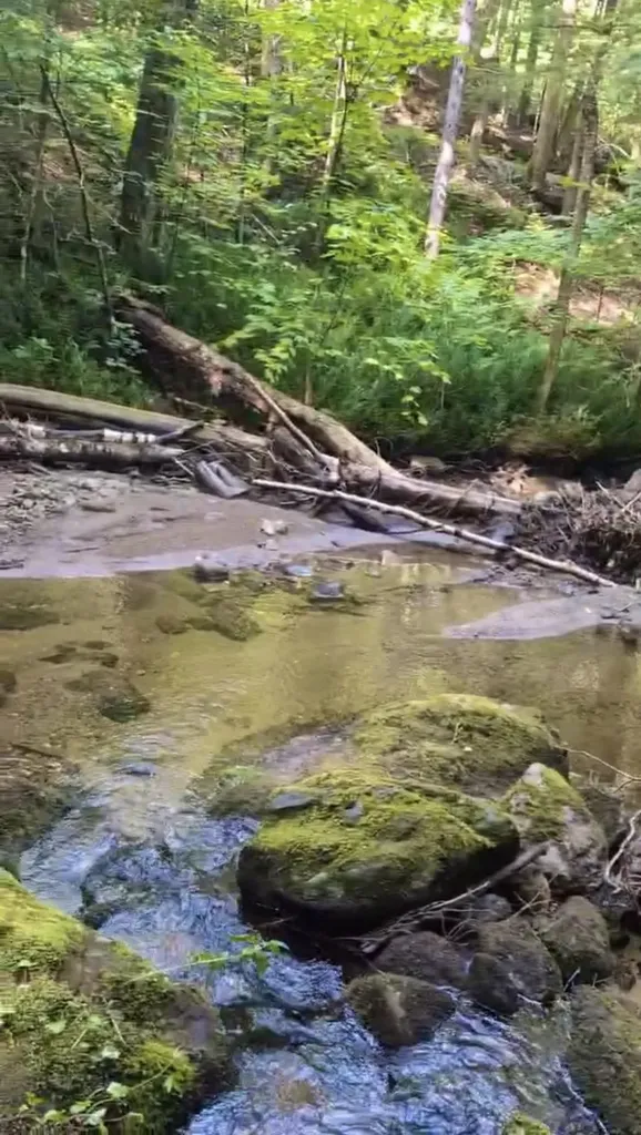 1858 King Hill Road Readsboro VT 05350