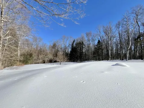 1858 King Hill Road Readsboro VT 05350