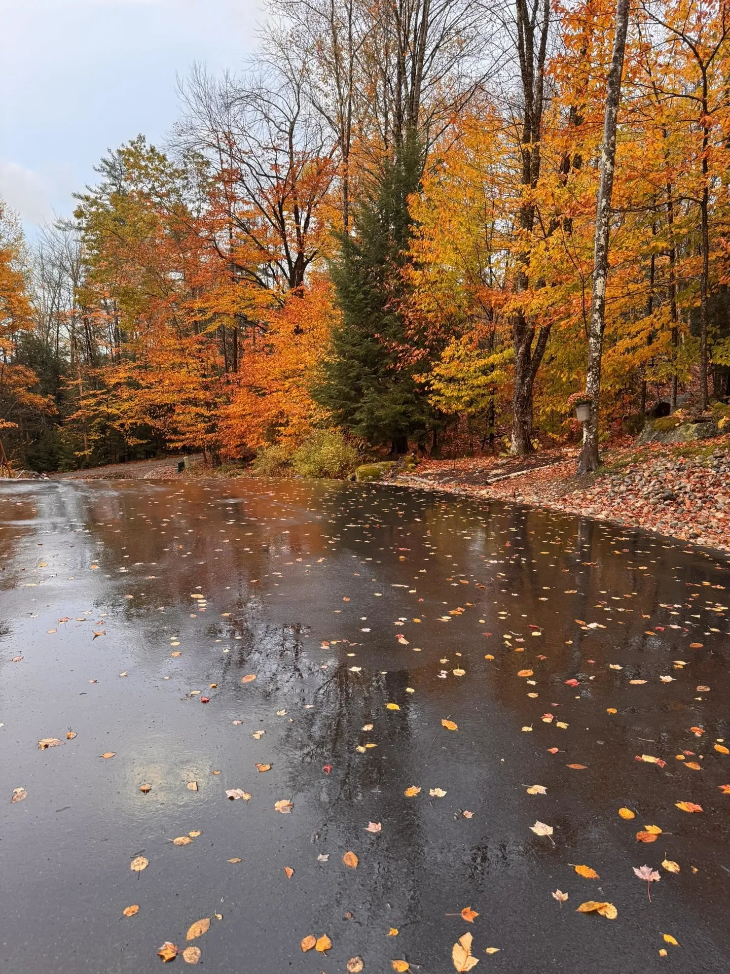 50 Banjo Drive Thornton NH 03285