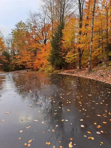 50 Banjo Drive Thornton NH 03285