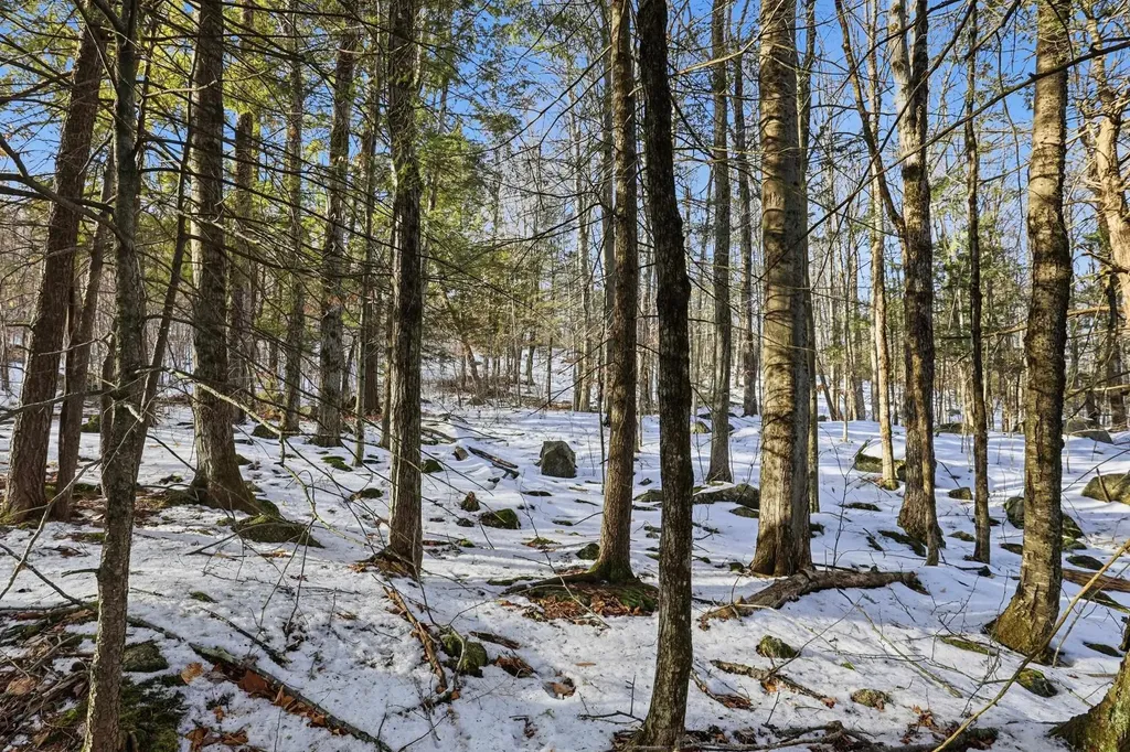 Taxmap 5b Lot97 Nh Route 114 Henniker NH 03242