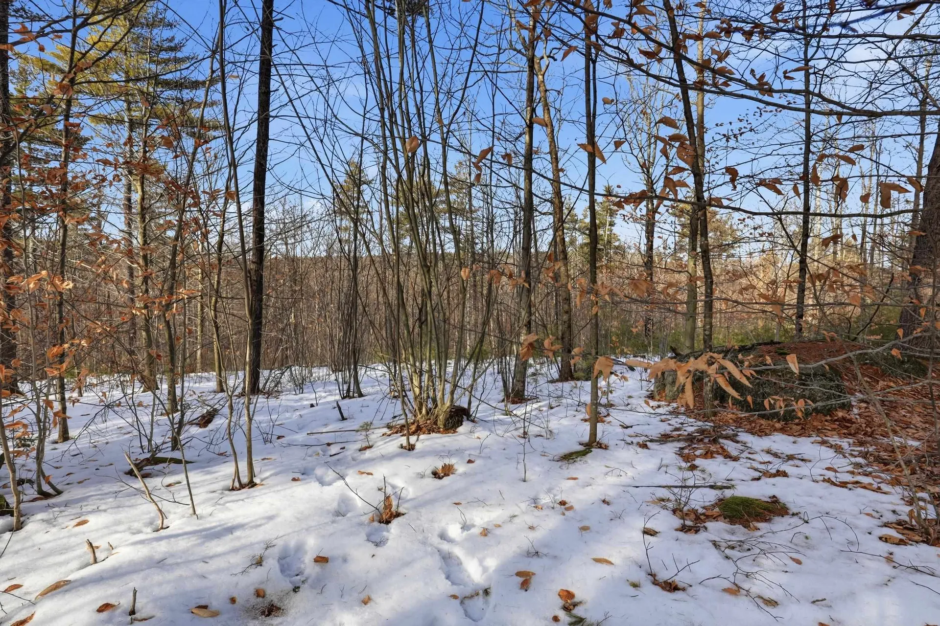 Taxmap 5b Lot97 Nh Route 114 Henniker NH 03242