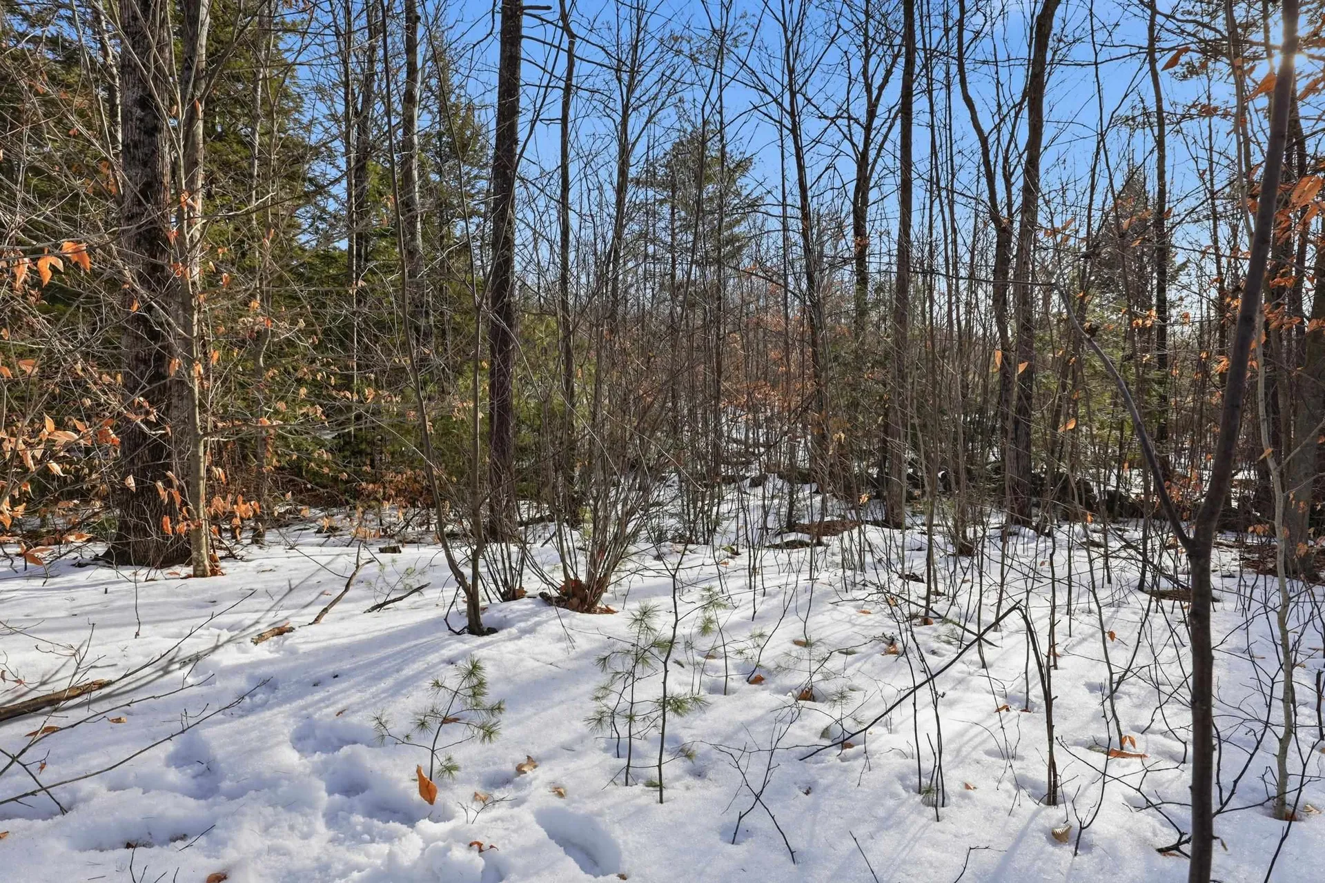 Taxmap 5b Lot97 Nh Route 114 Henniker NH 03242