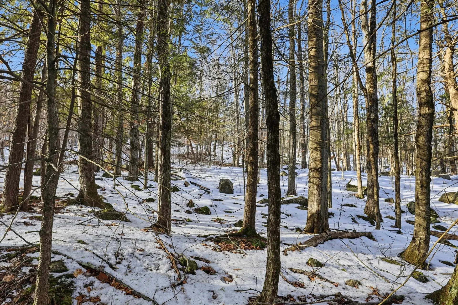 Taxmap 5b Lot97 Nh Route 114 Henniker NH 03242