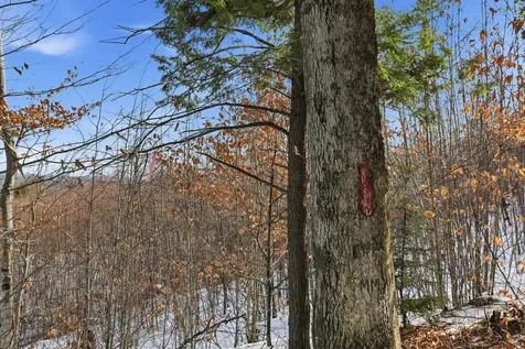 Taxmap 5b Lot97 Nh Route 114 Henniker NH 03242