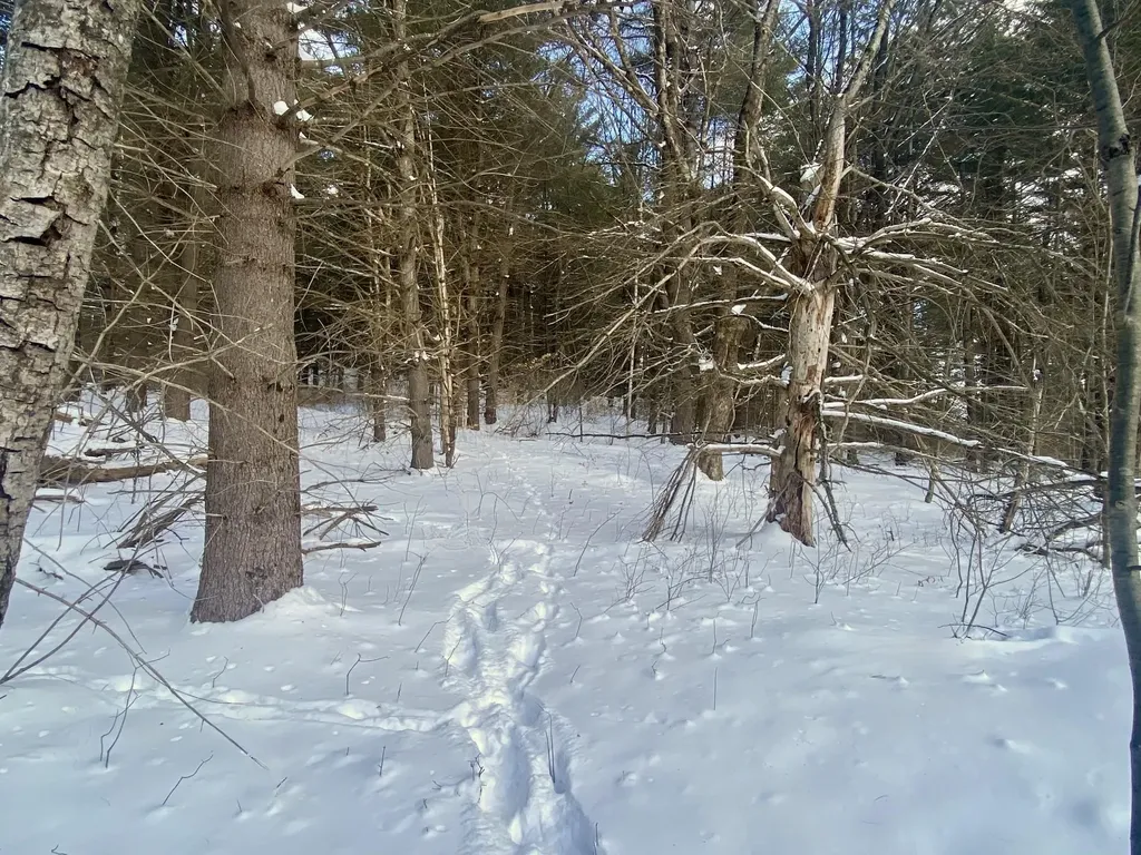 90 Vt Route 140 Tinmouth VT 05773