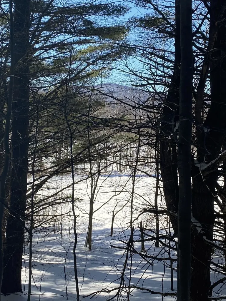 90 Vt Route 140 Tinmouth VT 05773