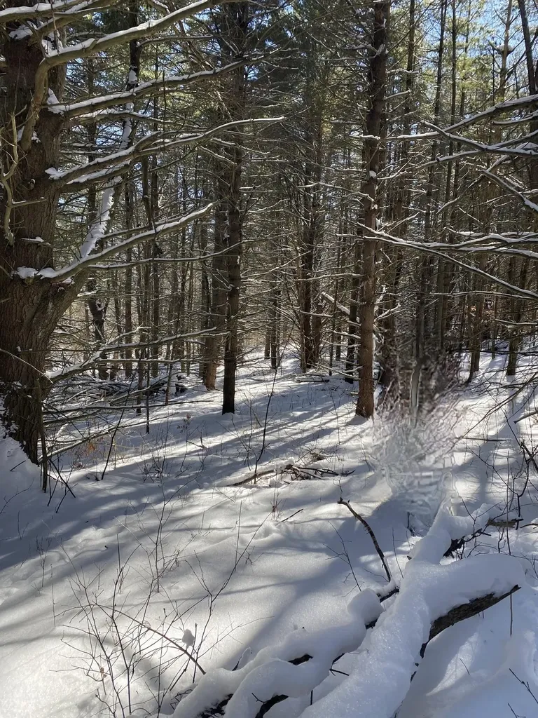 90 Vt Route 140 Tinmouth VT 05773