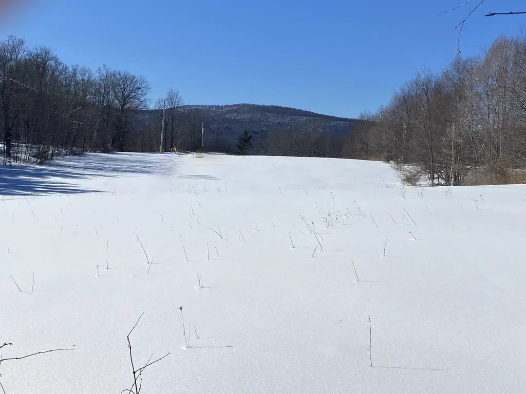 90 Vt Route 140 Tinmouth VT 05773