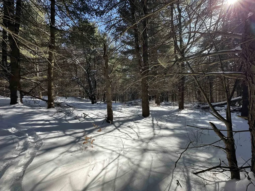 90 Vt Route 140 Tinmouth VT 05773