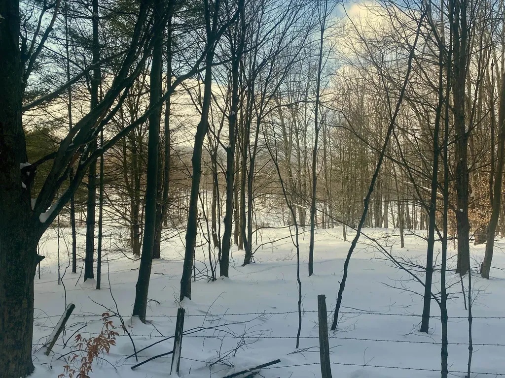 90 Vt Route 140 Tinmouth VT 05773