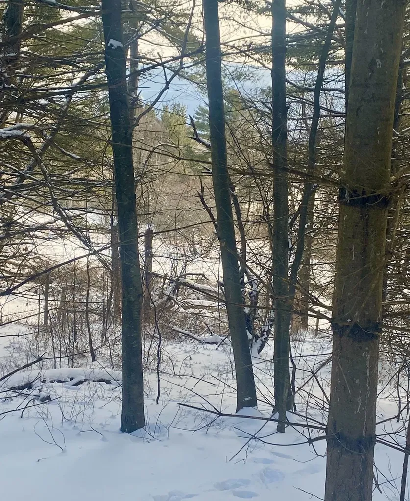 90 Vt Route 140 Tinmouth VT 05773