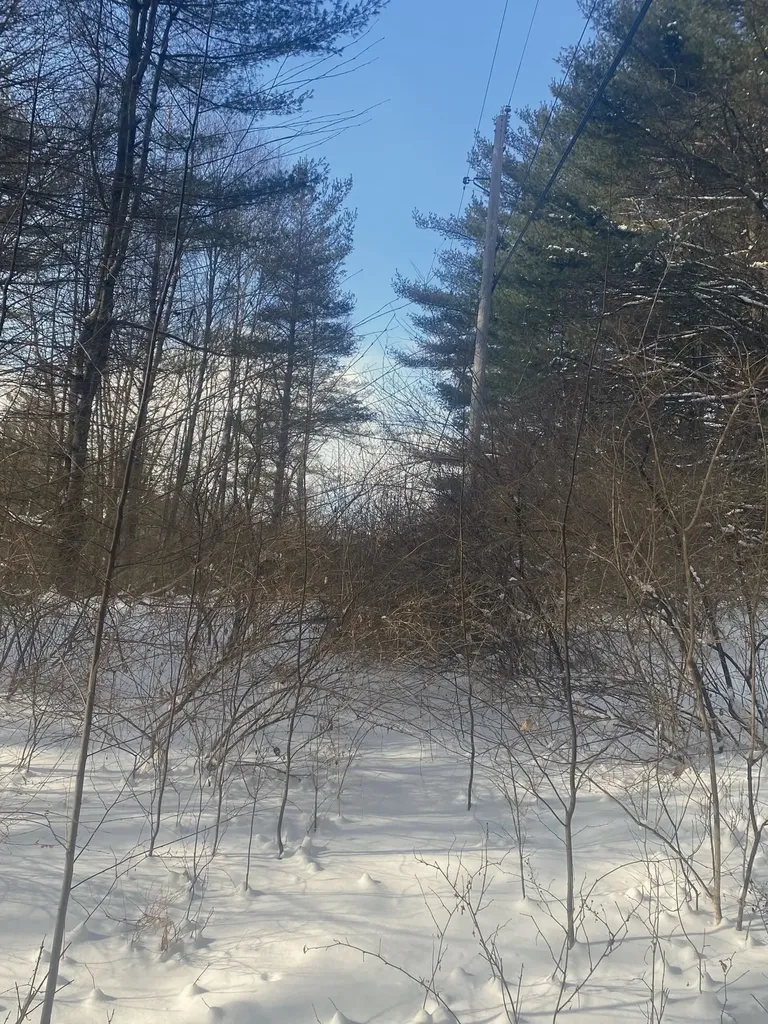 90 Vt Route 140 Tinmouth VT 05773