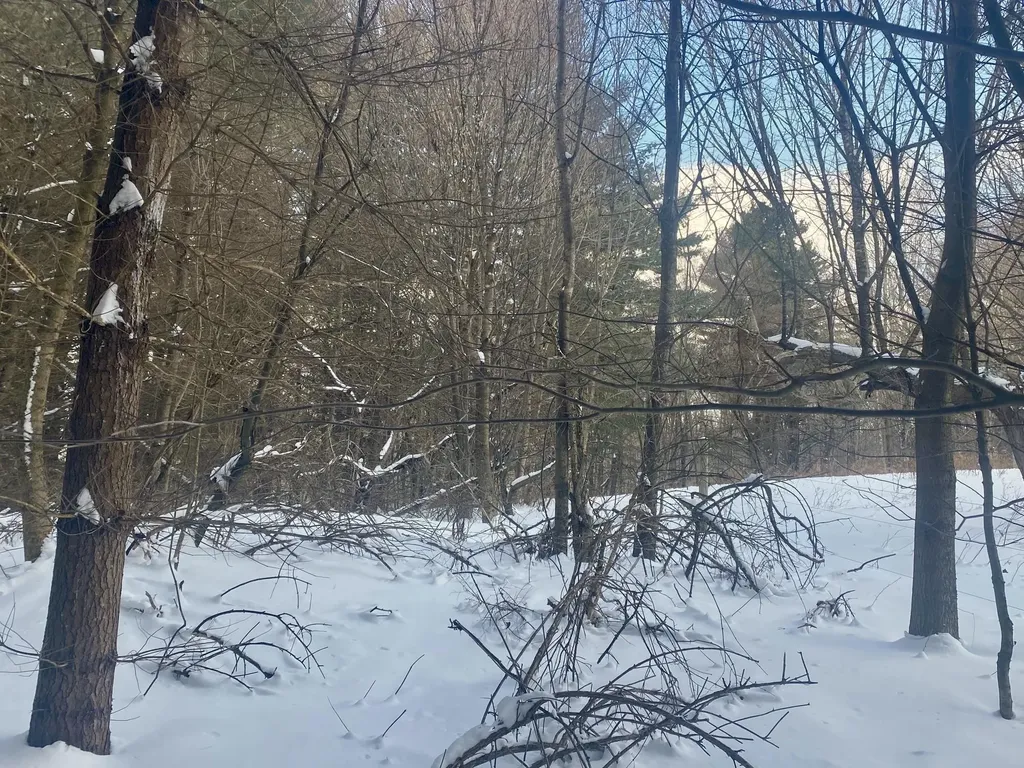 90 Vt Route 140 Tinmouth VT 05773