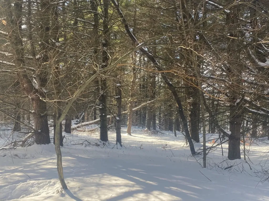 90 Vt Route 140 Tinmouth VT 05773