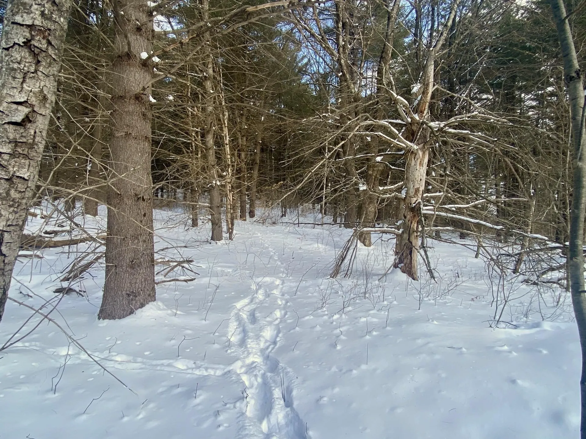 Tinmouth VT, 90 Vt Route 140