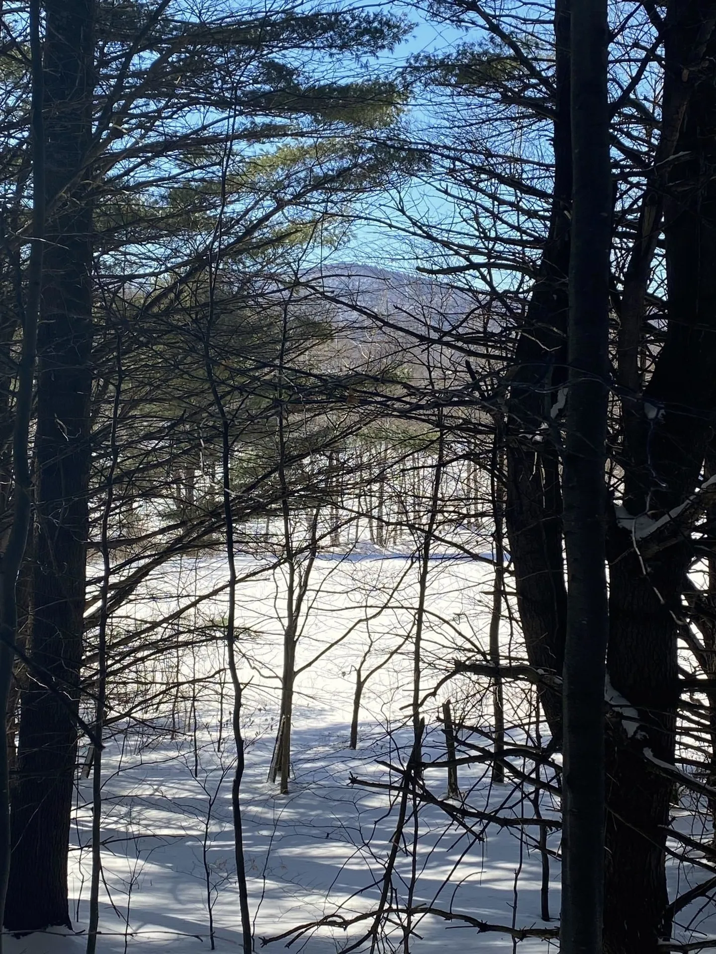 90 Vt Route 140 Tinmouth VT 05773