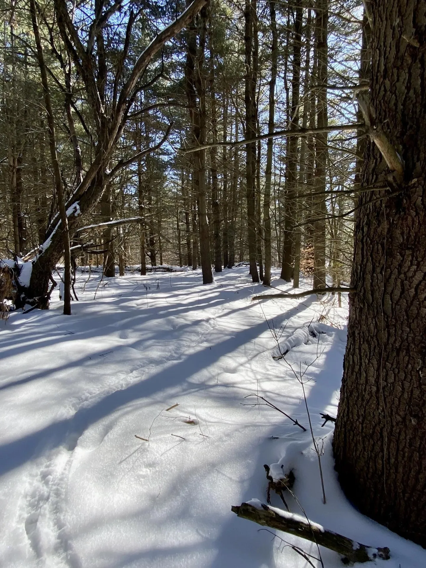 90 Vt Route 140 Tinmouth VT 05773