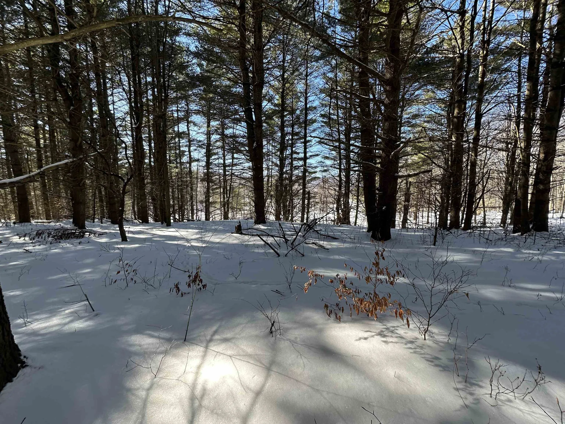 90 Vt Route 140 Tinmouth VT 05773