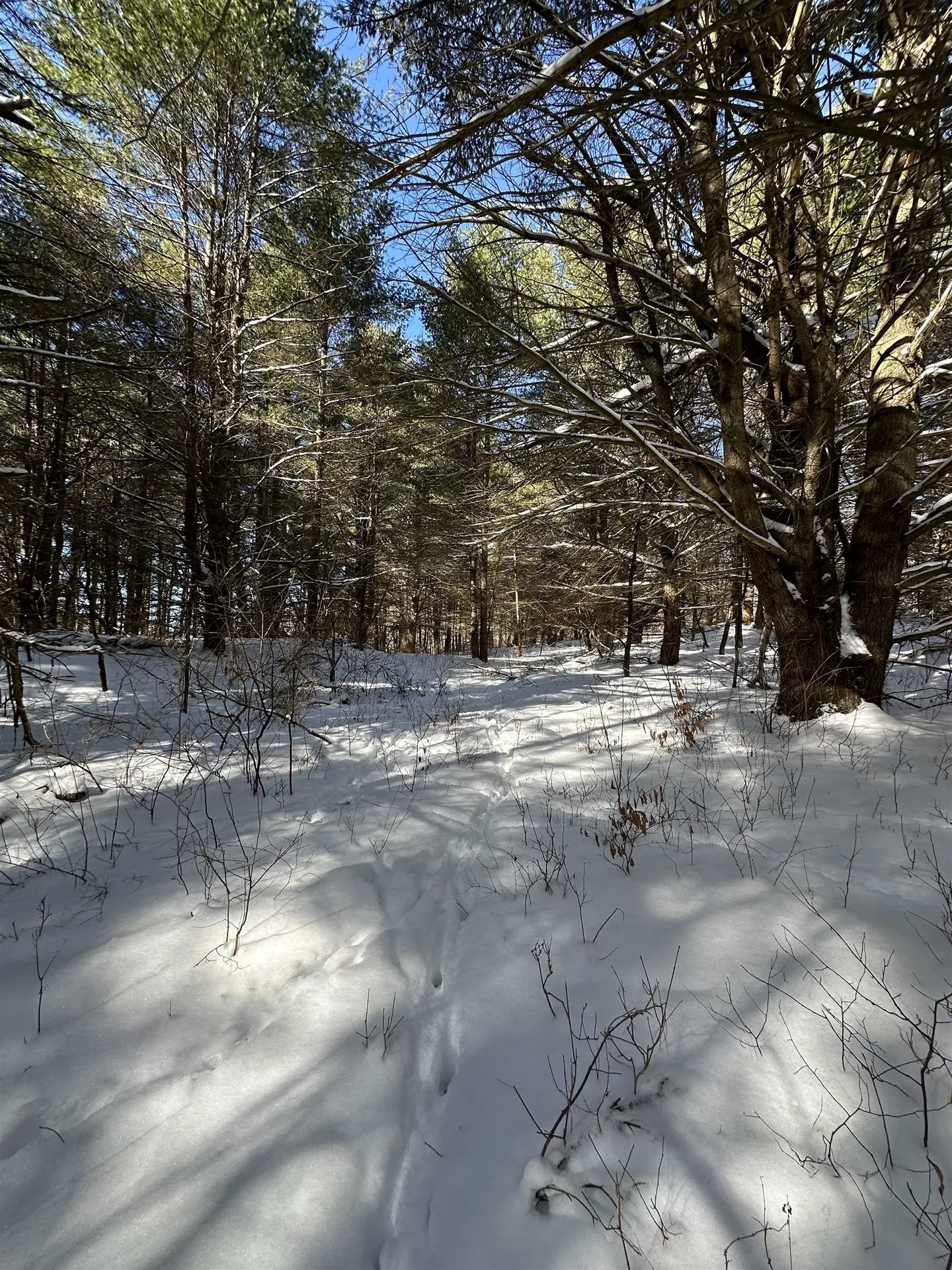 90 Vt Route 140 Tinmouth VT 05773