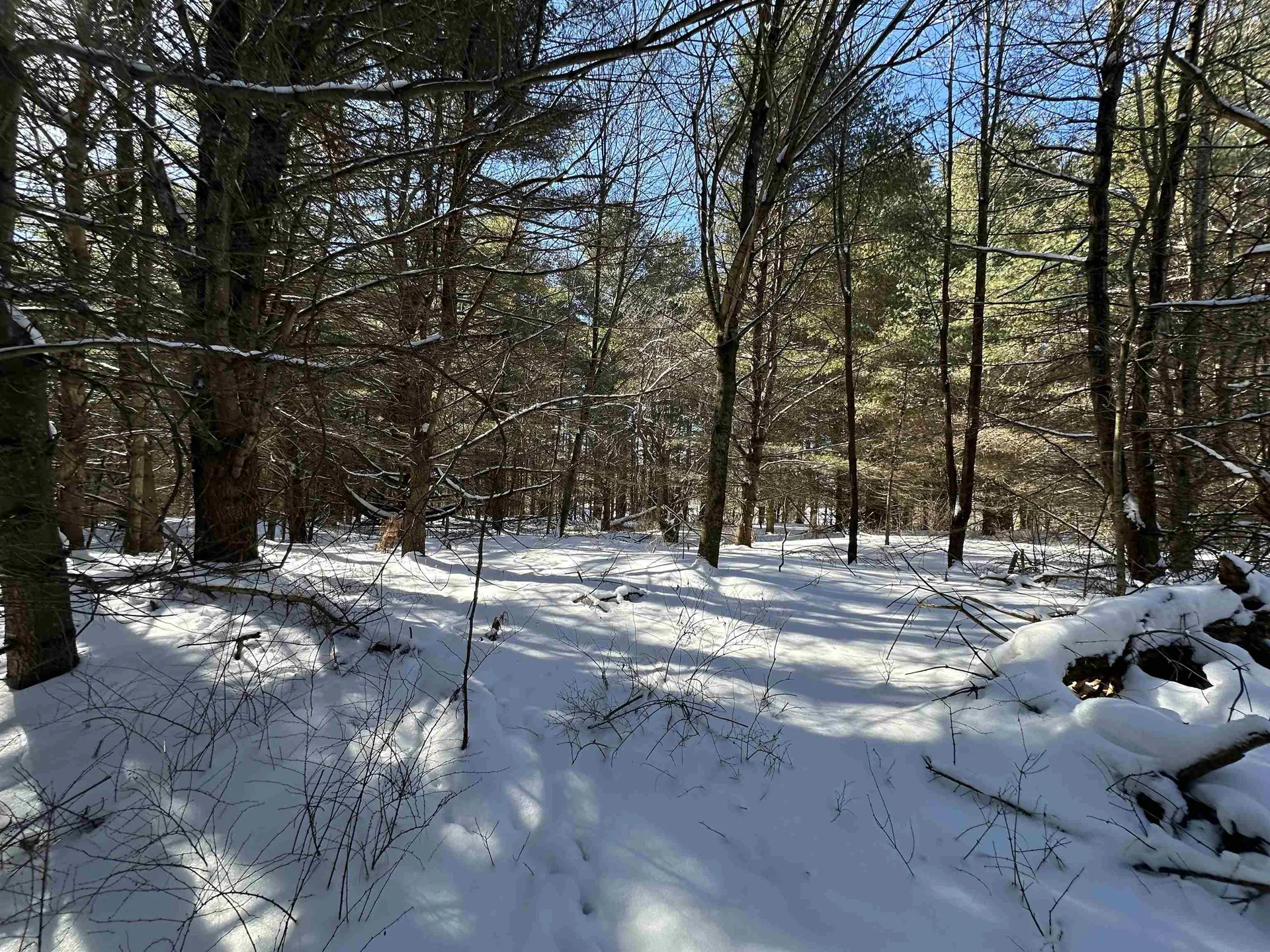 90 Vt Route 140 Tinmouth VT 05773